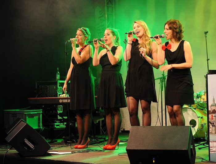 The Ladybirds HESO 2014